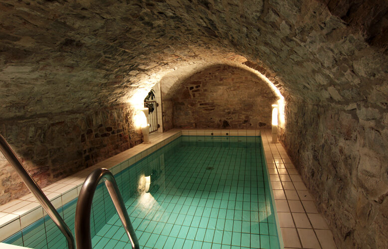 The pool in the vaulted stone cellar